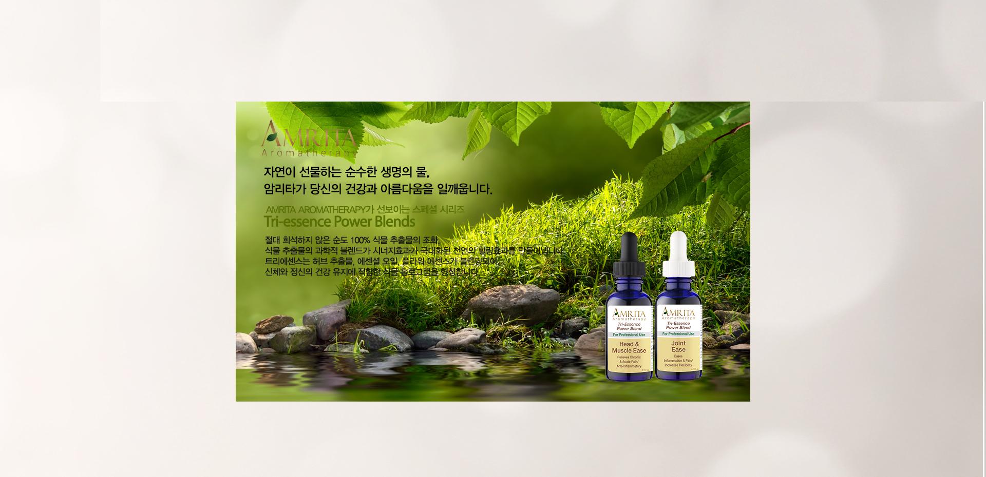 메인배너2